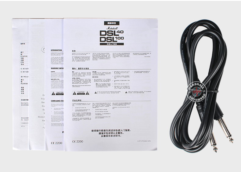 Marshall Marshall loa ống đầy đủ đầu loa DSL100H 100W loa đàn guitar muỗng - Loa loa loa sony xb22