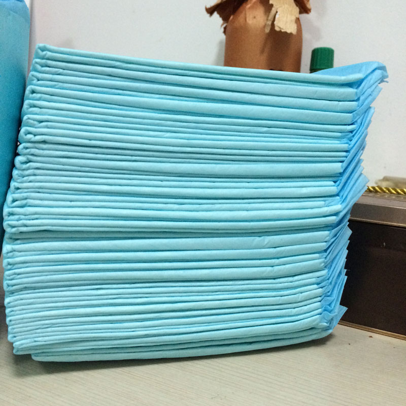 The whole pack of Teddy Dogs urinate diaper dog pee pee diaper and thicken super - strong water absorption puppy