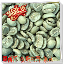  2021 Mexican Burger Manor Maragogype Elephant Beans 500g Coffee green Beans