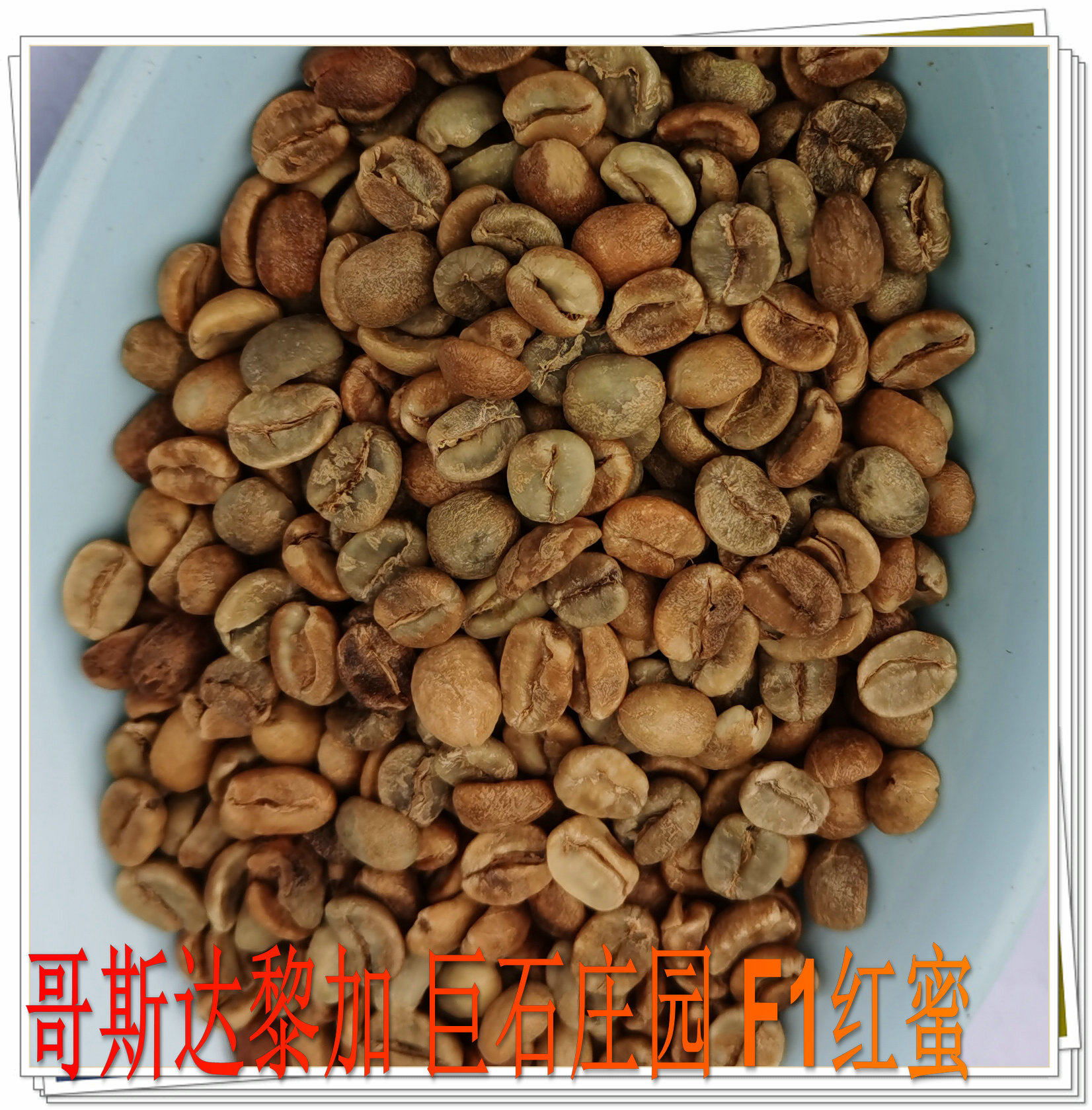 Costa Rican Giant Stone Estate F1 Red Honey Boutique Coffee Raw Beans