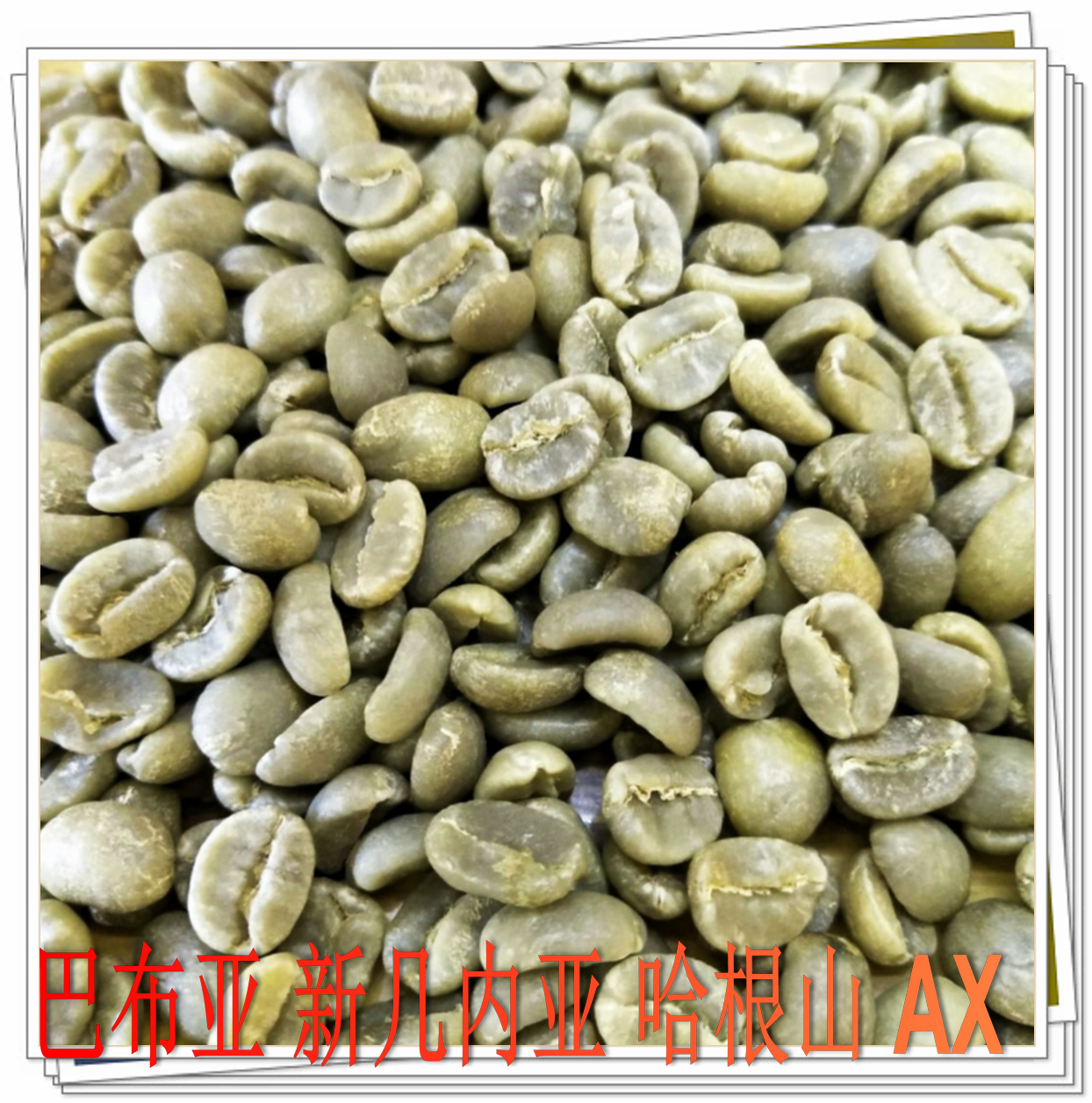 Coffee raw bean South West Pacific Babb New Guinea Hagan Mountain AX raw beans