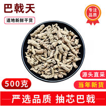 Guangdongs Trident Day 500 gr Chinese herbal medicine Bulk Trident Trident Officinalis Dry Goods