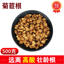 Changbai Mountain Chicory Root Tea 500g Yellow Chicory Kissy Root Yellow Magnolia Root Tea Bitter Chicory can take dandelion tea