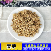 Raw malt 500g barley hair germ full Bud big malt tea raw wheat teeth with fried malt tea milk