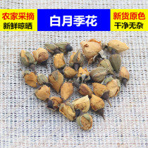 New Goods White Moon Season Flowers Dry Flower Petals 25 gr Chinese Herbal Medicine Bulk Agricultural Products Primary Color Sundry White Moon Season Flowers