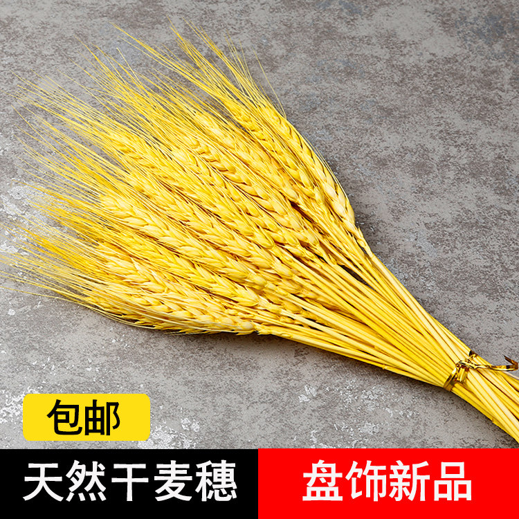 Hotel dish Sushi creative knick-knack cold cuts embellished with flower platters Decorated flowers and grass plates decorated with sashimi wheat ears