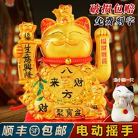 Golden Fortune Cat Home Living Room Swing Store Open Diste