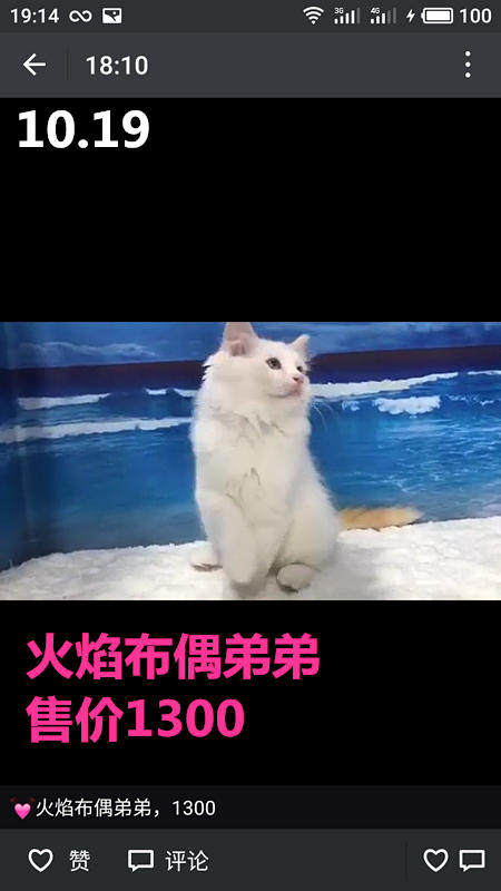 Другие 出售家养可爱粘人其它宠物品种齐全76