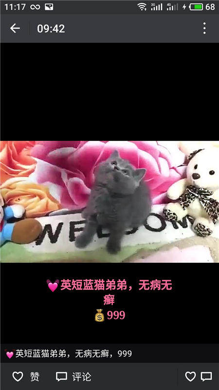 Другие 出售家养可爱粘人其它宠物品种齐全76