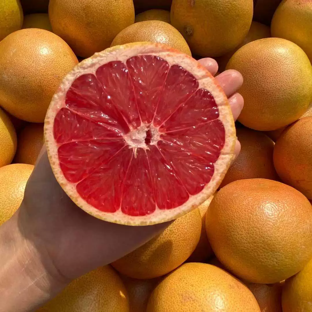 [South African red heart grapefruit small fruit 8 pcs fresh seasonal grapefruit for pregnant women]
