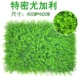 Cây xanh tường mô phỏng nhà máy tường phòng khách nội thất ban công trang trí hoa tường tường màu xanh lá cây treo nhựa giả cỏ - Hoa nhân tạo / Cây / Trái cây chậu hoa giả