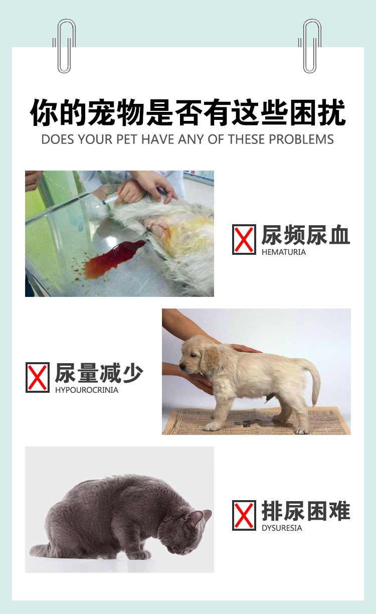 Chó và mèo nước tiểu 5kg cả chai - Cat / Dog Medical Supplies Máy siêu âm thú y giá rẻ