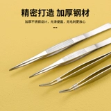 304#Экспериментальная линия биологической линии анатомии.