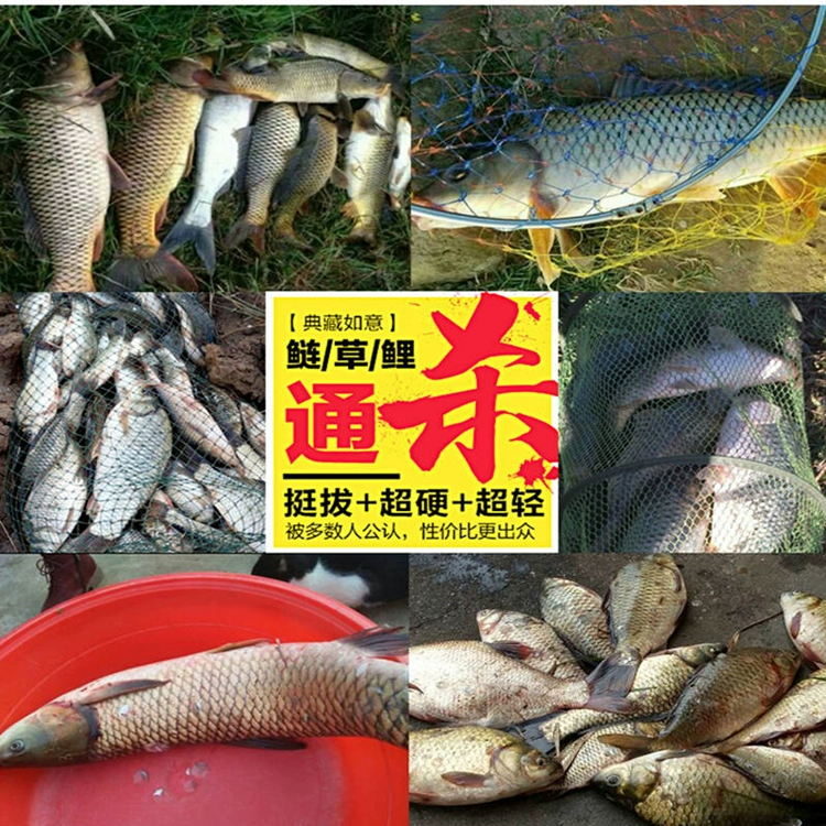 Bộ cần câu cầm tay kết hợp bộ hoàn chỉnh siêu nhẹ và siêu cứng cho người mới bắt đầu câu cá cung cấp dụng cụ cho người mới bắt đầu những điều lớn cần câu cần câu máy ngang can cau