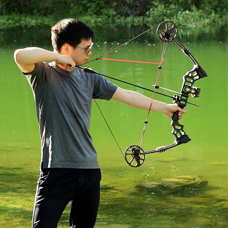 Alloy Compound Bow Pulley Bow Dual-Use Outdoor Recurve Bow Archery Shooting Professional Competition Sports Dragon Claw X8 Competition