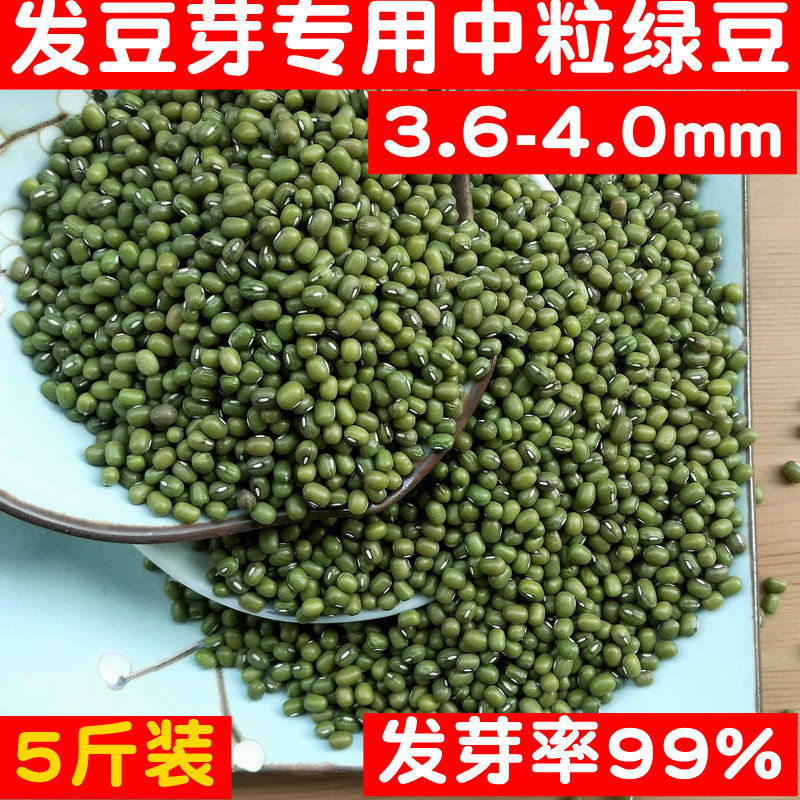 5 kg of new medium grain sprout mung bean raw mung bean sprout bean special bright mung bean porridge soup Northeast farmhouse self-grown sprouts