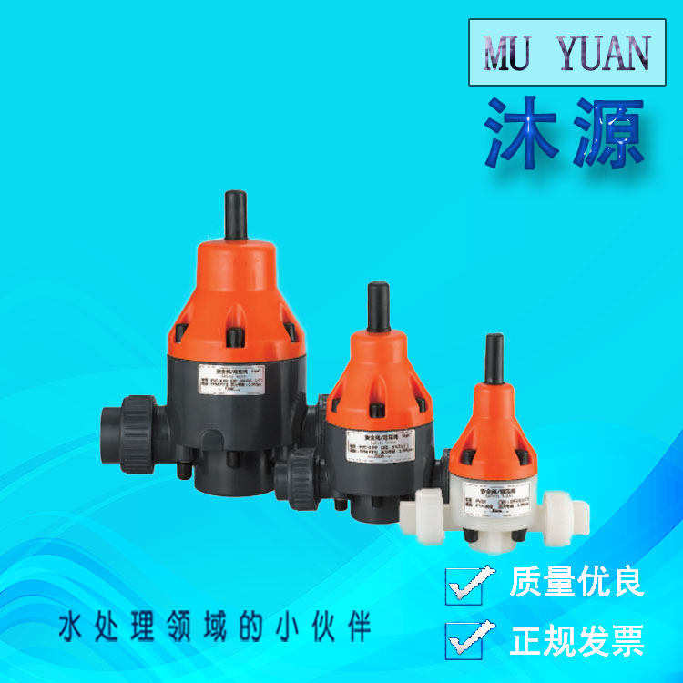 DN15 -65 Series safety valve metering pump line mounting accessories