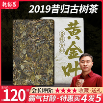 High quality dry Yuchang 2019 past Puer tea raw tea ancient tree Puer tea golden leaf raw puer tea brick 250g