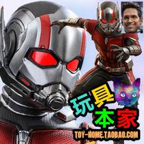 Special new spot HotToys Ant Man 2 wasp female Ant Ant Man 3 0 Ant-Man Ant Man HT