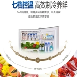 Aux/Oaks BCD146K176L Двойной канал холодильник с холодильником с холодильником холодильник холодильный холодильник холодильник холодильник