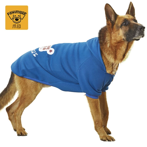 Золотая собака Mao Dog Большие собаки осень зимняя осень и зима Tedsama Huskyrabrado Pett Petts зимой