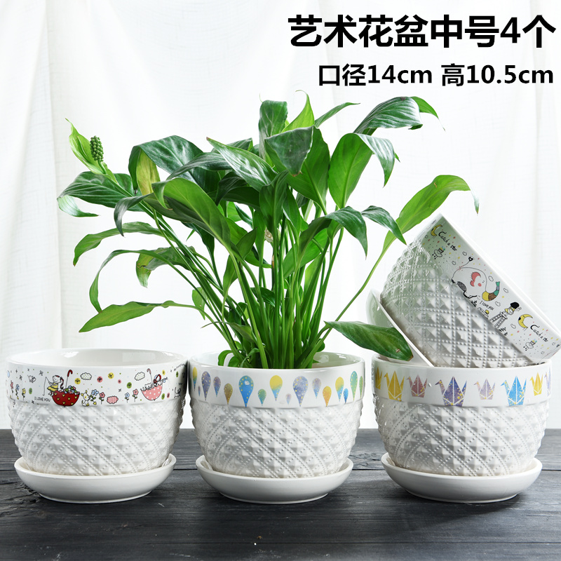 Flowerpot flesh household ceramics special offer a clearance with tray was creative move contracted large money plant small fleshy flower pot