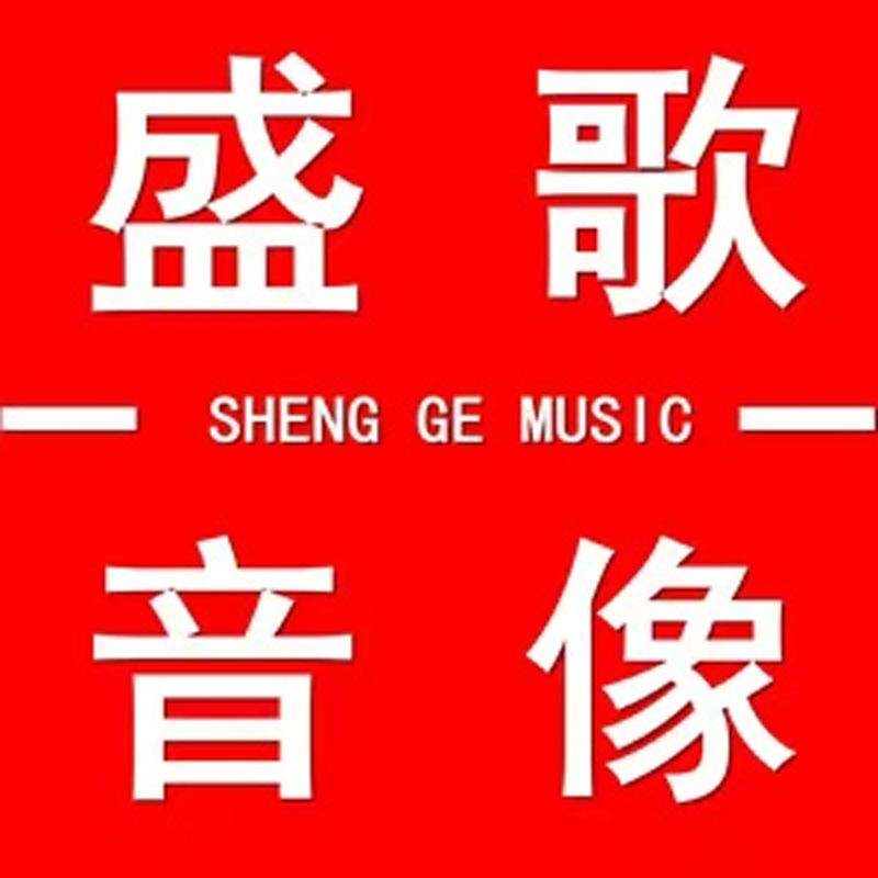 盛歌音像企业店的LOGO