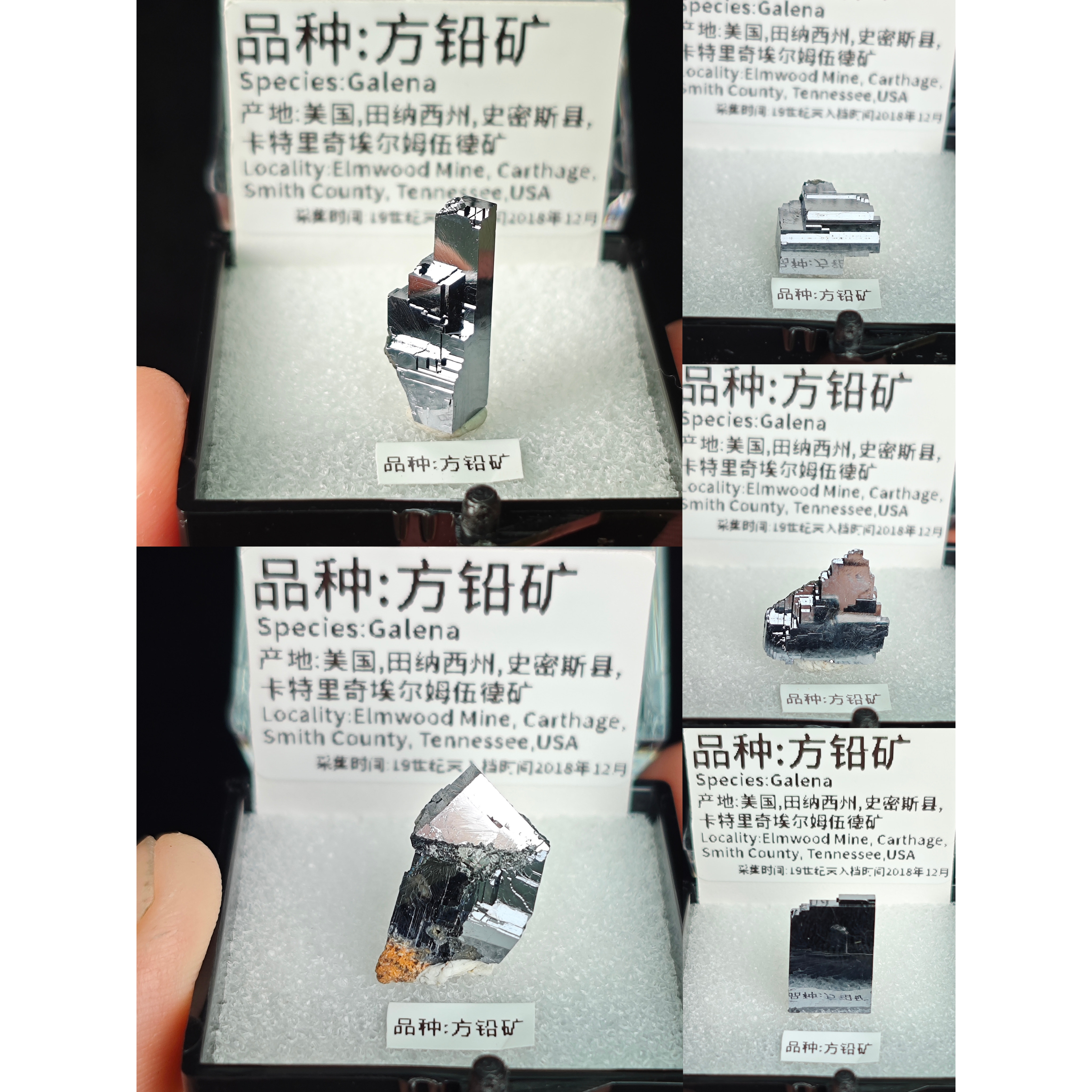 美國田納西鏡面矩陣方鉛礦原石金屬光澤原礦標本奇石科研