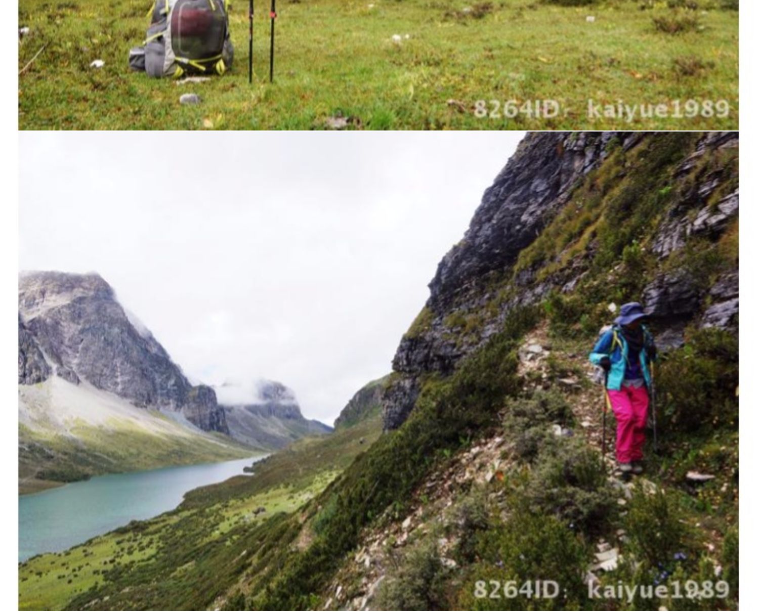 MBC trekking cực cực nhẹ siêu ngắn sợi carbon sợi carbon khóa tay đi bộ đi bộ leo núi thiết bị ngoài trời - Gậy / gậy gậy chống chân