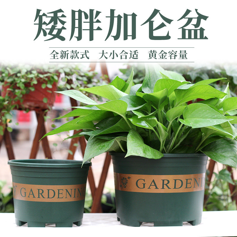 Gardening resin flower pots Balcony vegetable growing pots Meaty chunky gallon flower pots European Plastic Golden Ge gallon pots