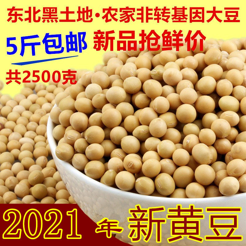 Xindou Northeast local non-GMO farmers grow their own soybeans 5 kg Heilongjiang high-quality soybeans to make bean sprouts and soy milk