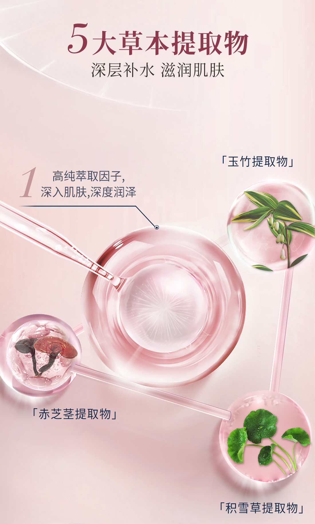 心清堂润颜洁面温和舒缓干皮肌肤女士专用洗面奶正品官方旗舰店