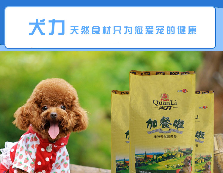 5 pound thức ăn cho chó lớn Chó lực lượng thú cưng Teddy vàng Satsuma Phổ 2,5 kg với số lượng lớn thịt bò tự nhiên thực phẩm hương vị chó cám chó
