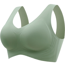 (Brand Clearance 20% Off) Catman Seamless Underwear Womens Wireless Bra to Shrink Secondary Breasts Anti-Sagging Beautiful Back