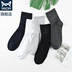 Cat Men Men Cotton Vớ mùa xuân Mùa hè Vớ cotton Tất màu sắc kinh doanh Sinh viên thể thao Cotton Cotton 5 cặp - Vớ bông vớ cao Vớ bông