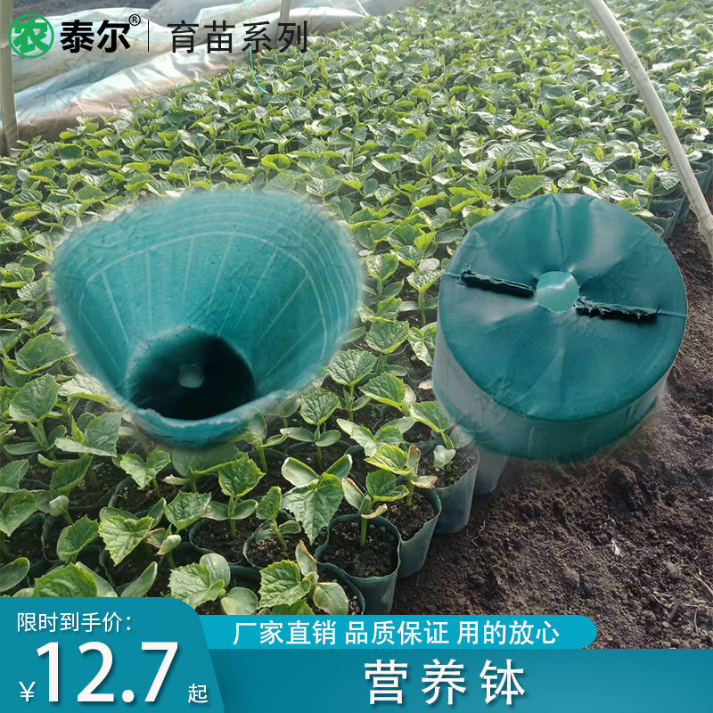 Manufacturer Direct Marketing Agroterre Nutrition Bowl Seedling Bag Nutrient Cup Nursery Basin Multi-Meat Vegetable Growing Nursery Flower Pot