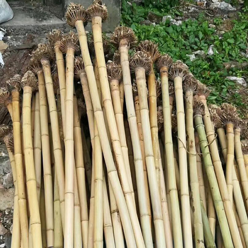 Otehai Gui Bamboo South Xiao Material Xiao Dry Material Ruler Eight Musical Instruments Wet Material Eight Holes Five Years Old Gui Bamboo Raw Material