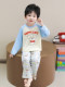 Boys' Pajama Set, Casual and Stylish, Long-Sleeved, Color-Blocked, Modal Raglan Sleeves, Puppy Design, Children's Loungewear
