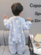 Boys' Pajamas Flannel 2025 New Autumn and Winter Kidsren's Baby Jumpsuit Sleeping Bag Warm Coral Velvet Home Clothes
