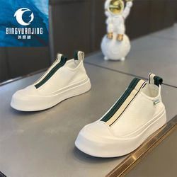 Ice Whale 2024 Summer Style New Lace-Up Casual Shoes Embroidered Ice Silk Cloth Canvas Shoes Internet Celebrity Sneakers Men's Trendy