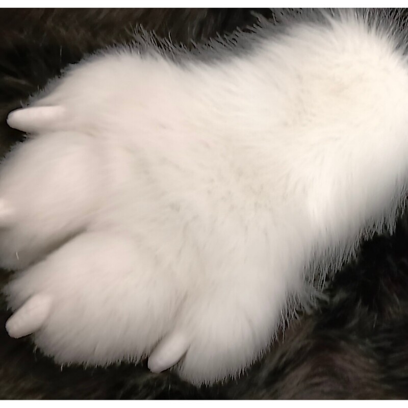 furry福瑞/兽装 兽装爪子成品现货掉落毛绒fursuit加长兽爪布指甲包边内衬289