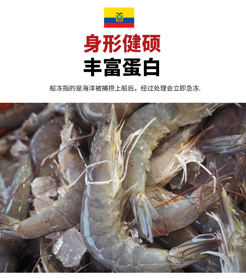 爱吃鱼 活虾速冻 厄瓜多尔白虾  净重3斤 单只约12-15cm 图7