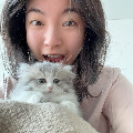 风风火火小阿兰