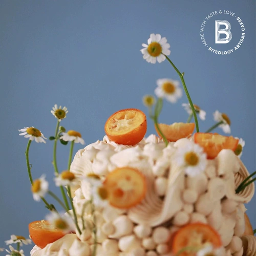 BITEOLOGY [Little Beautiful] C217 Новый праздничный торт Весенний новый продукт доставлен в Пекин и Шанхай