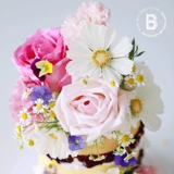 Bitelogy [Xiangyanghua] c186 Праздничный торт Новый продукт, перечисленный Пекин Шанхай, тот же город