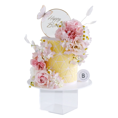 Bitelogy [она в Xiangaang] C156 Творческий паром День рождения торт по случаю дня рождения Пекин Шанхай Тонгхенг доставка