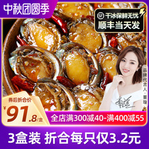 (Three boxes) spicy small abalone 12*3 boxes of ready-to-eat seafood cooked aquatic products dried abalone canned Buddha jumps over the wall