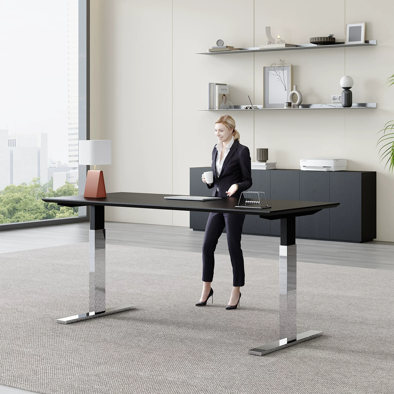Electric Adjustable Desk, Stainless Steel Bauhaus Gaming Room Desk, Workbench, Manager's Computer Desk and Chair