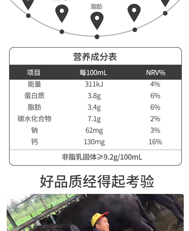 广西壮牛水牛奶纯牛奶199ml*12盒装