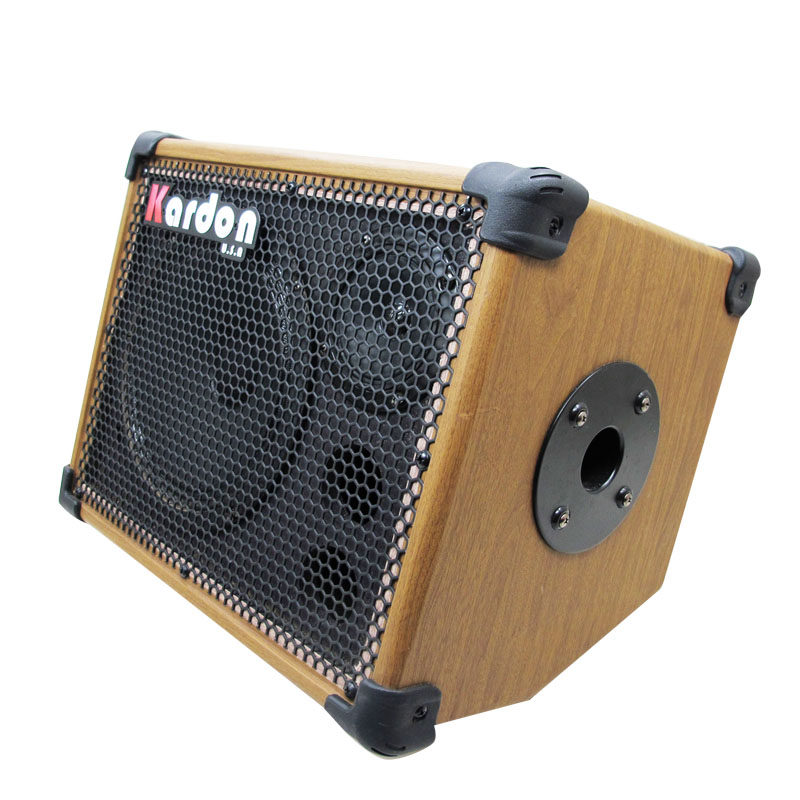 Multi - function speaker 20 W Hawaiian Guitar Speaker 20W Mandeleine Speaker Bass A-20